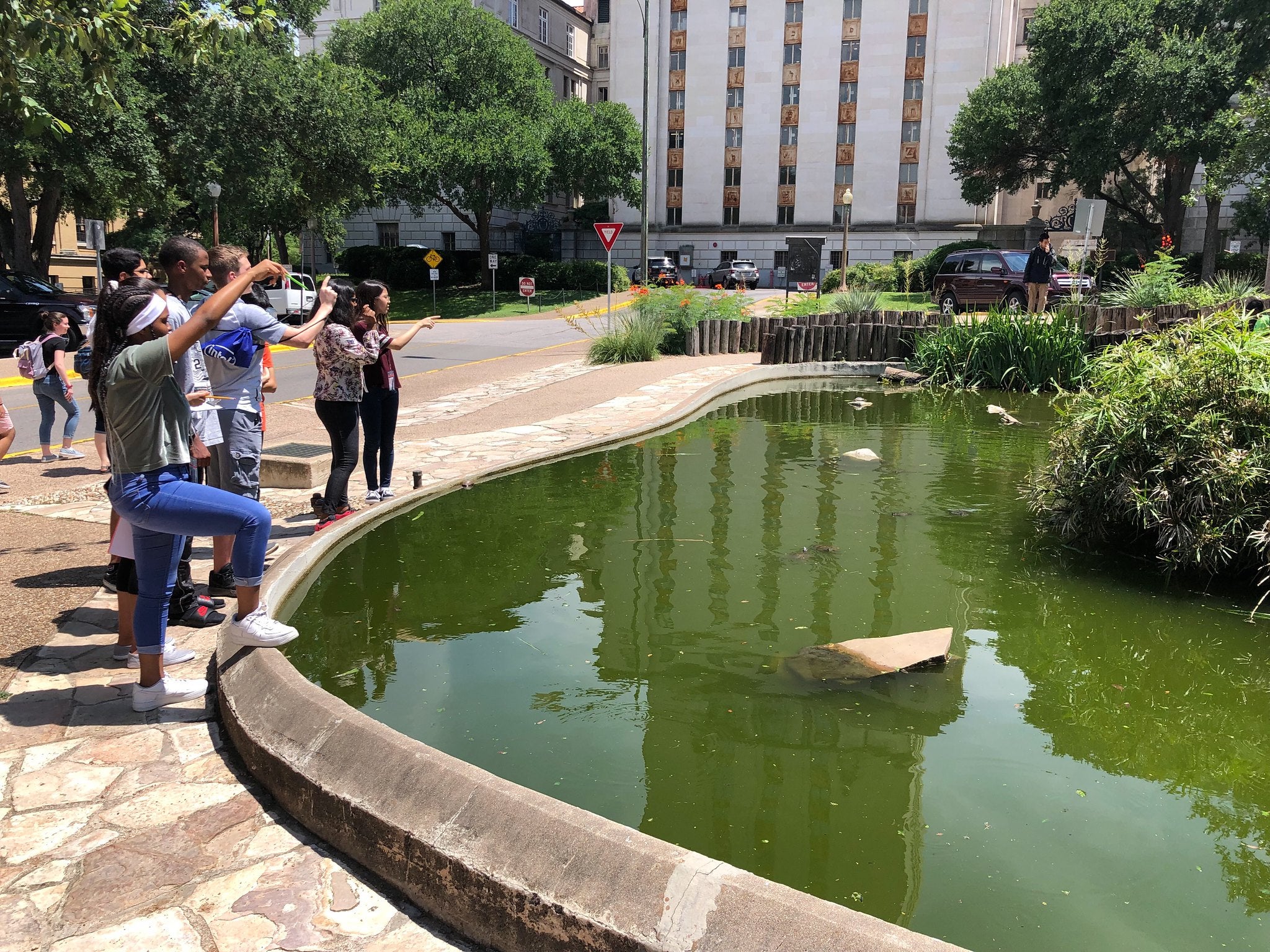 Students at turtle pond image